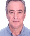 Spyridon Nikoladis, Professor