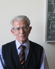 Stylianos Masen, Emeritus Professor